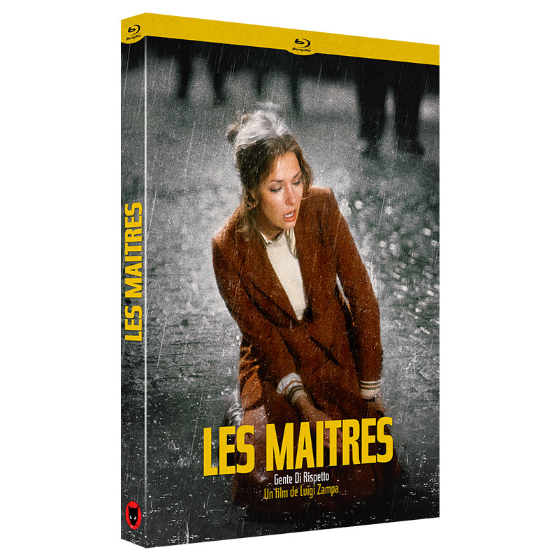 LES MAITRES