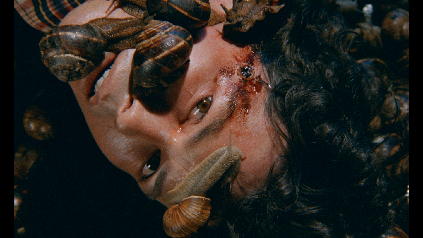 UN ESCARGOT DANS LA TÊTE