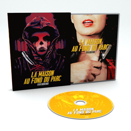 THE HOUSE AT THE BOTTOM OF THE PARK