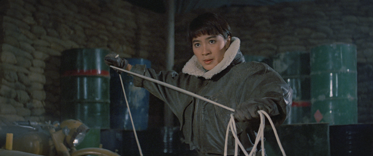 MAGNIFICENT WARRIORS