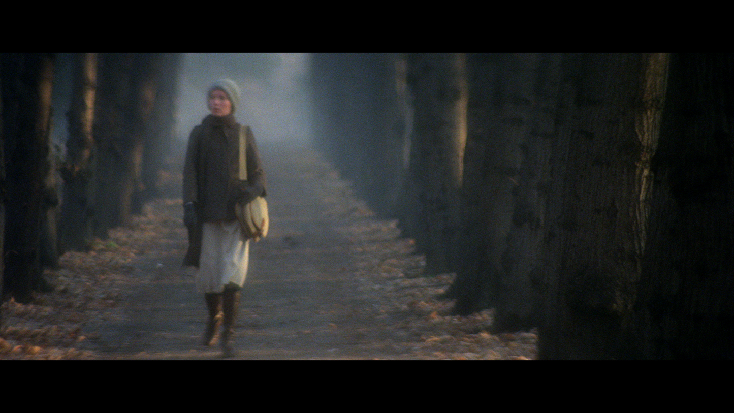 THE INFERNAL CIRCLE [SINGLE BLURAY]