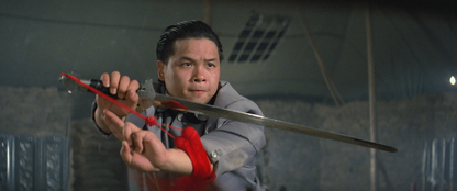 MAGNIFICENT WARRIORS