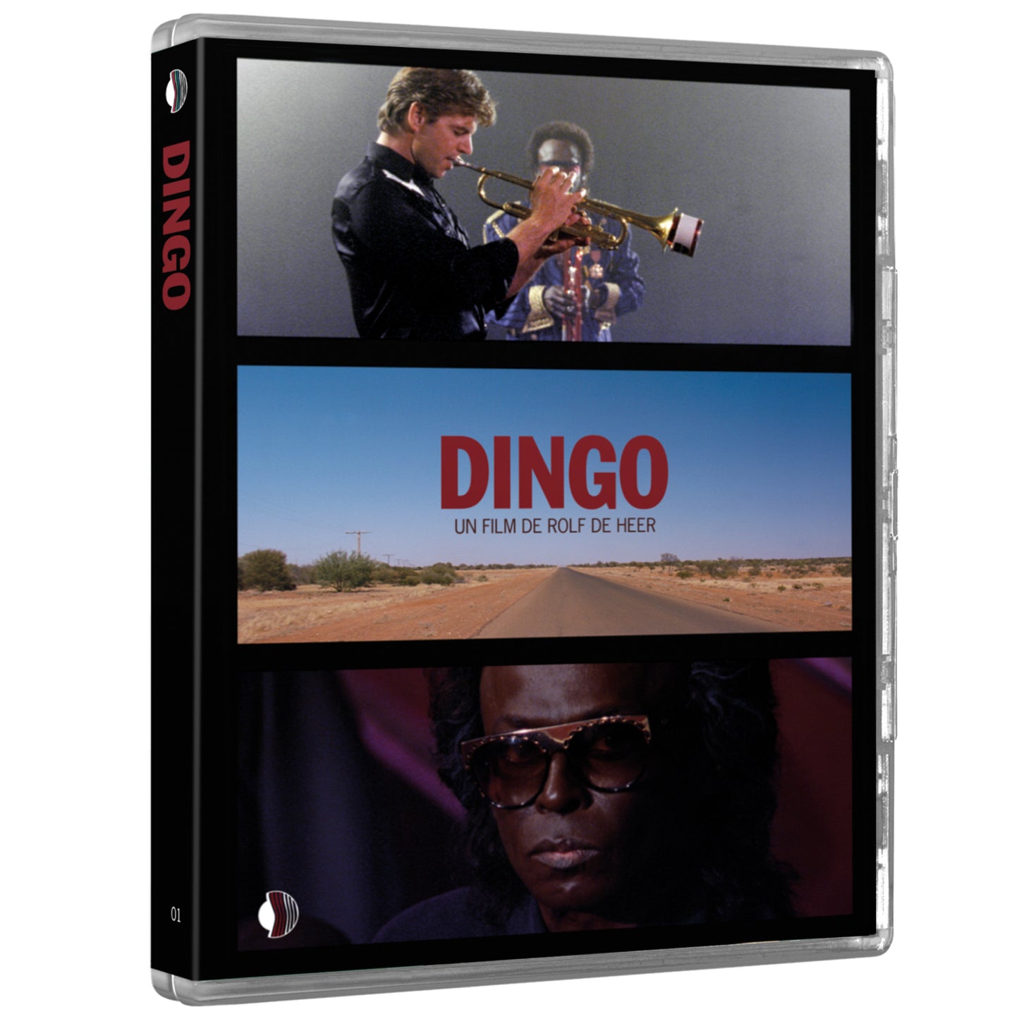 DINGO